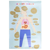 JEUX 2 MOMES - POSTER A GRATTER 60X40CM CORPS HUMAIN